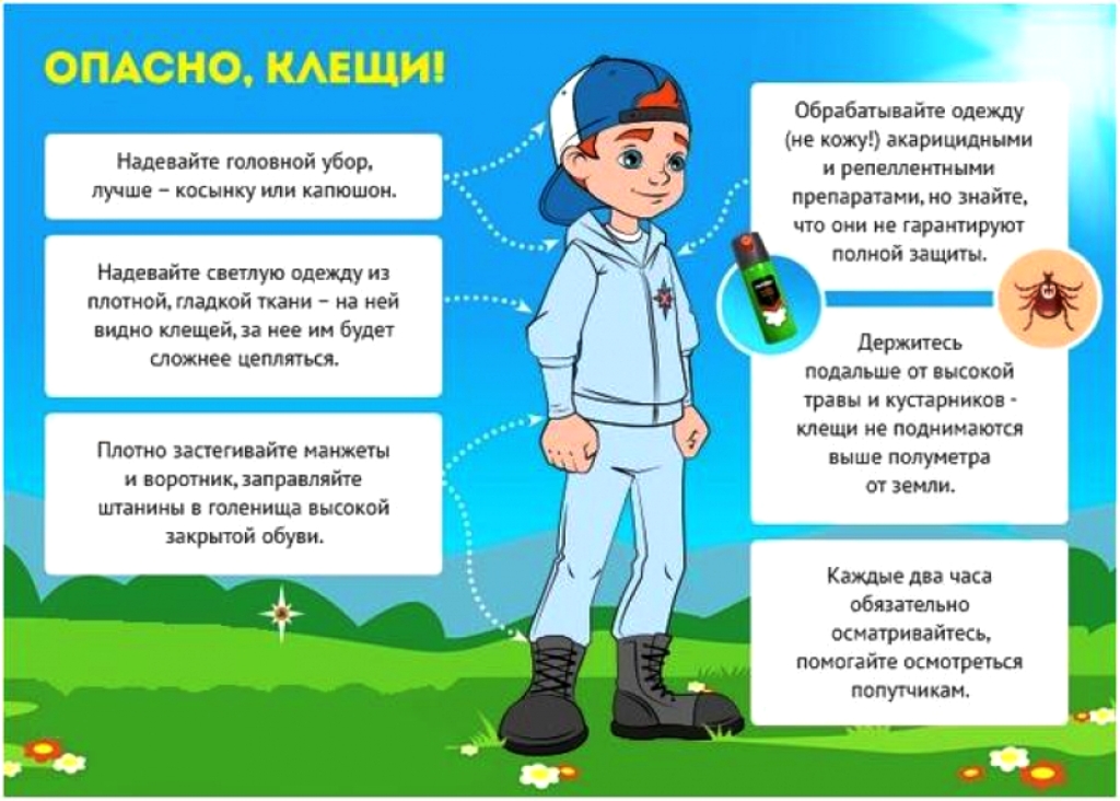 Опасность клещей презентация