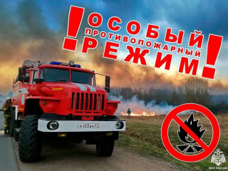 в Кардымовском районе введен особый противопожарный режим - фото - 1