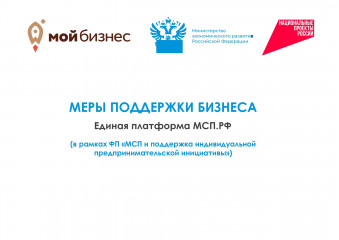 о доступных мерах и инструментах поддержки в рамках федерального проекта «Малое и среднее предпринимательство и поддержка индивидуальной предпринимательской инициативы» - фото - 1