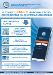 оплатите налоги до 1 декабря 2025 года - фото - 1