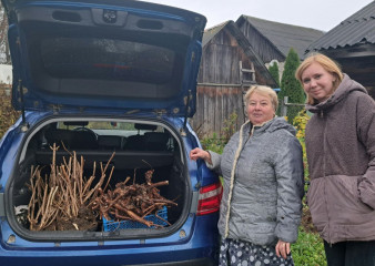 кардымовские предприниматели продолжают способствовать благоустройству райцентра - фото - 2