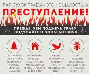 памятка «Пал сухой травы - преступление» - фото - 1