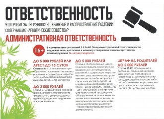 важная информация для родителей подростков - фото - 2