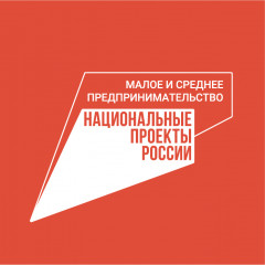 в рамках национального проекта «Малое и среднее предпринимательство и поддержка индивидуальной инициативы» молодые предприниматели и социальные предприятия смогут получать гранты раз в три года - фото - 1